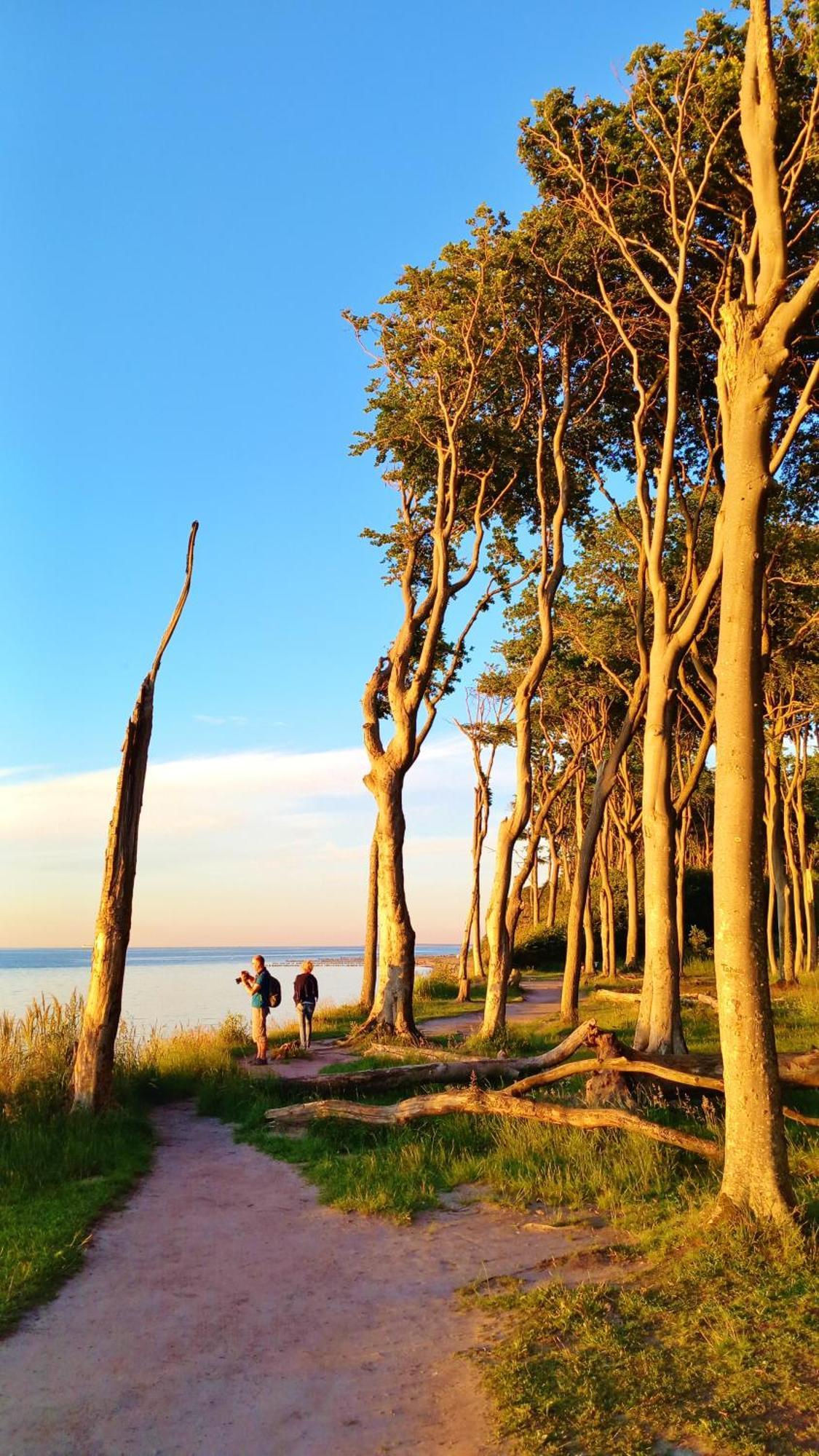 Ostsee Hotel-Pension An Der Lindenallee Bad Doberan Bagian luar foto