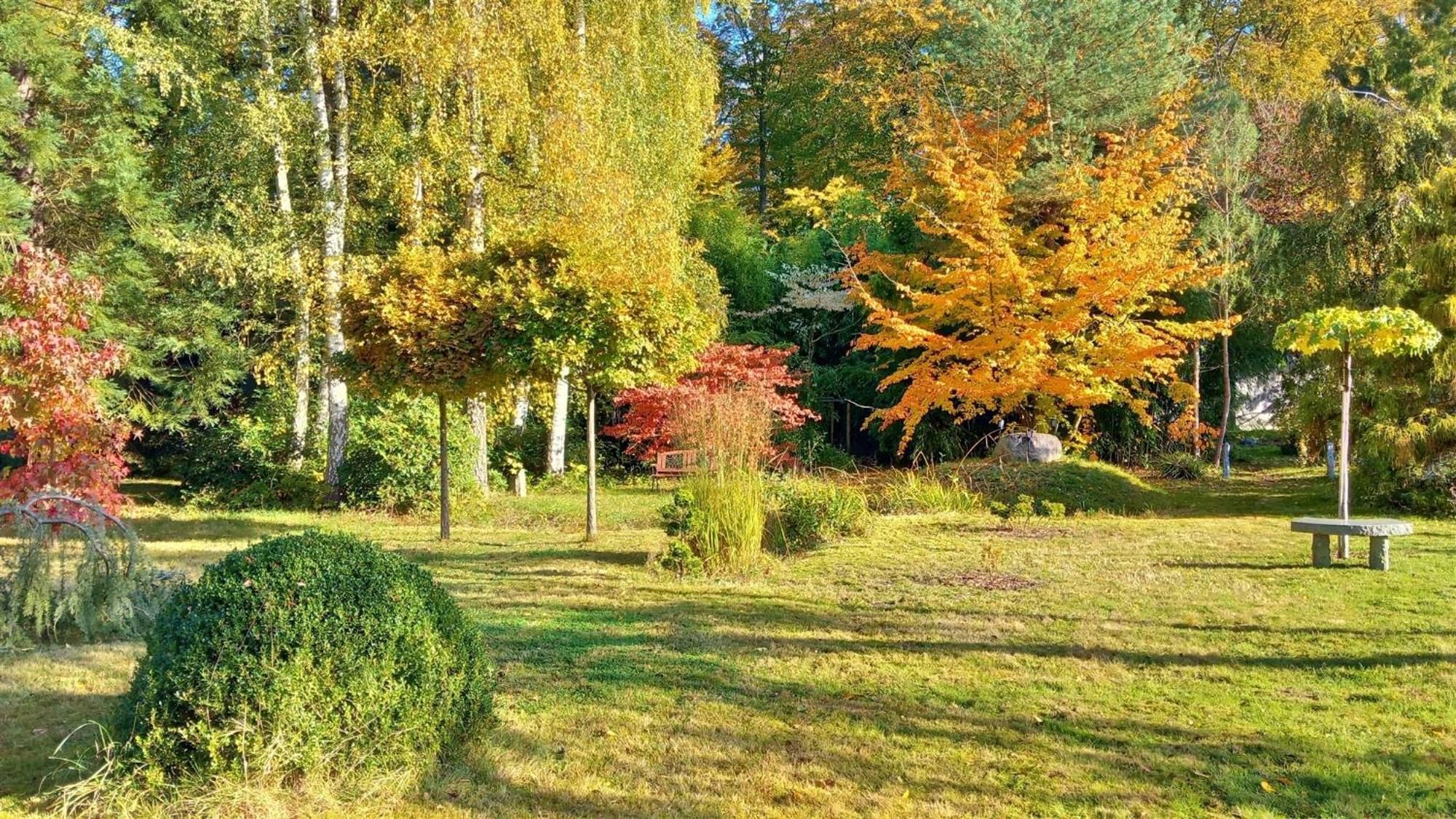 Ostsee Hotel-Pension An Der Lindenallee Bad Doberan Bagian luar foto